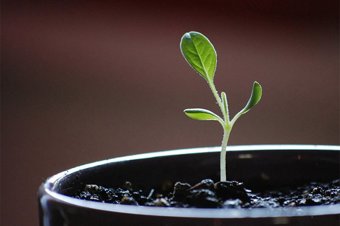 ��Մ����ȩ���`�^