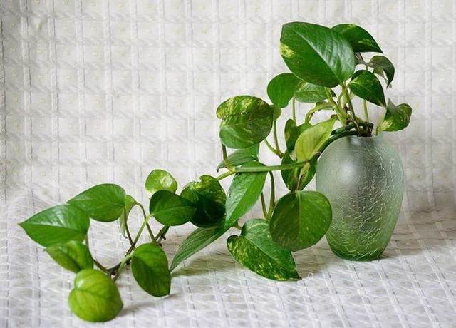 ��ȩ����3�����ϣ��ׂ�С���У�׌��7��ס�·���