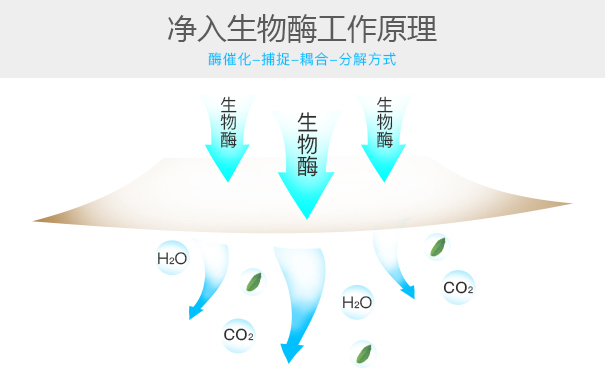 ���ȫ��ȥ���҃ȼ�ȩ��Ⱦ?