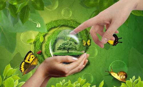 治理甲醛保健康,每一個人都不能忽視 治理甲醛保健康,每一個人都不能忽視