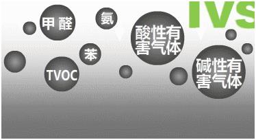 ���������°Y�������LҪע����