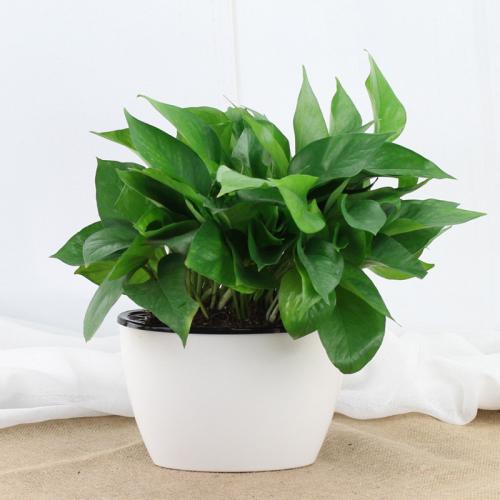 ��ȩ�¼��l�F(xi��n)���e���Լ��ͼ��ˮ�(d��ng)���G�}����