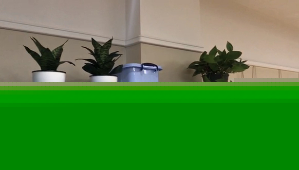 �׃��@�b�޺���L���ļ�ȩ��Ⱦ 2�Ιz�y�Y���s��ͬ