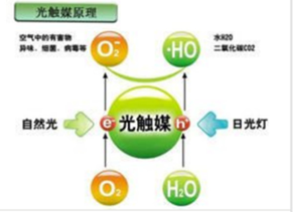 ���|ý����ȩ��ԭ�������|ý����ζԭ�������|ý����ԭ��