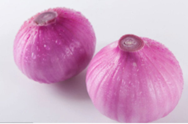 ��ȩȥ����������γ���ȩ����ȩ�����x�����[����ȩ�����I(y��)�����������G������