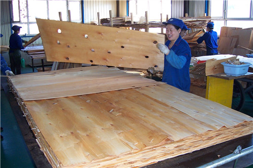 1548404538725329.jpg 甲醛超標