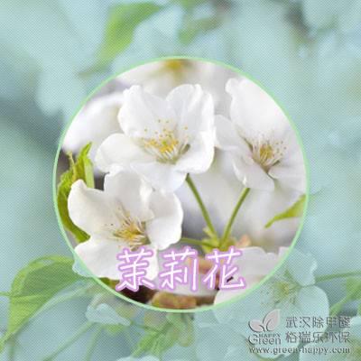 ����ֲ��Nֲ���ɣ��m������N��ֲ��҃ȃ����՚�ֲ��҃ȳ���ȩֲ���h����ȩ�G��������ֲ���B�o����