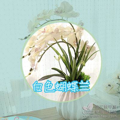 ����ֲ��Nֲ���ɣ��m������N��ֲ��҃ȃ����՚�ֲ��҃ȳ���ȩֲ���h����ȩ�G��������ֲ���B�o����